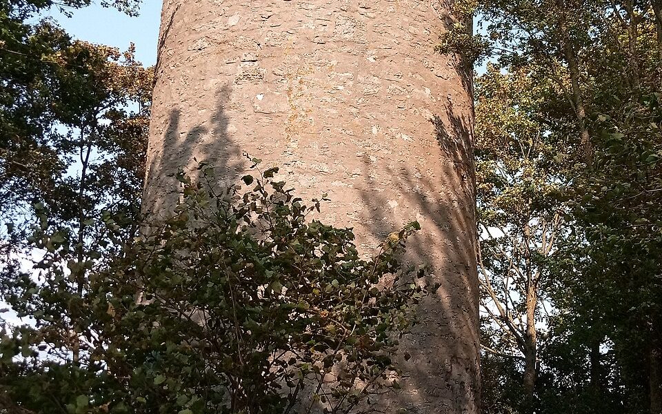 Wartturm (Bad Mergentheim)