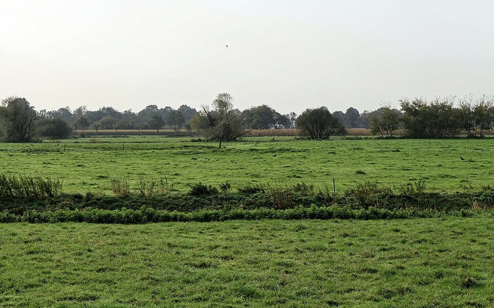 Hakelwerk