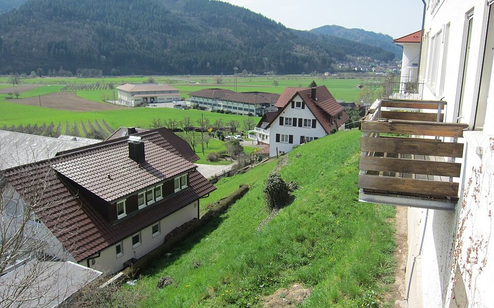 Burg Weiler