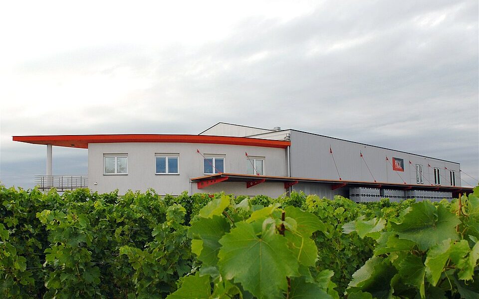 Weingut Pöckl