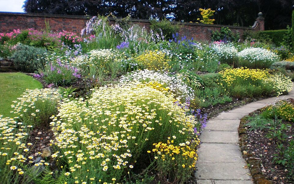 Winterbourne Botanic Garden
