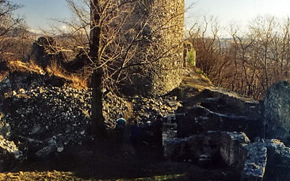 Wleń Castle