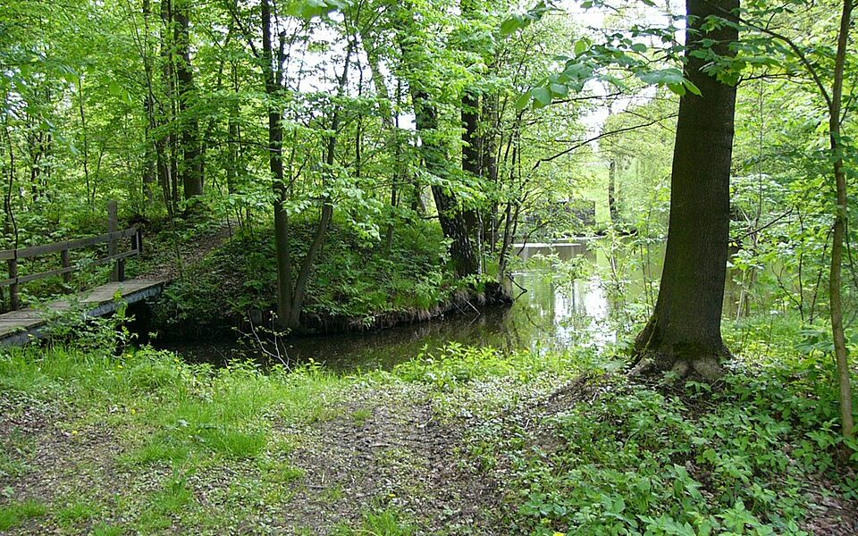 Turmhügelburg Woja