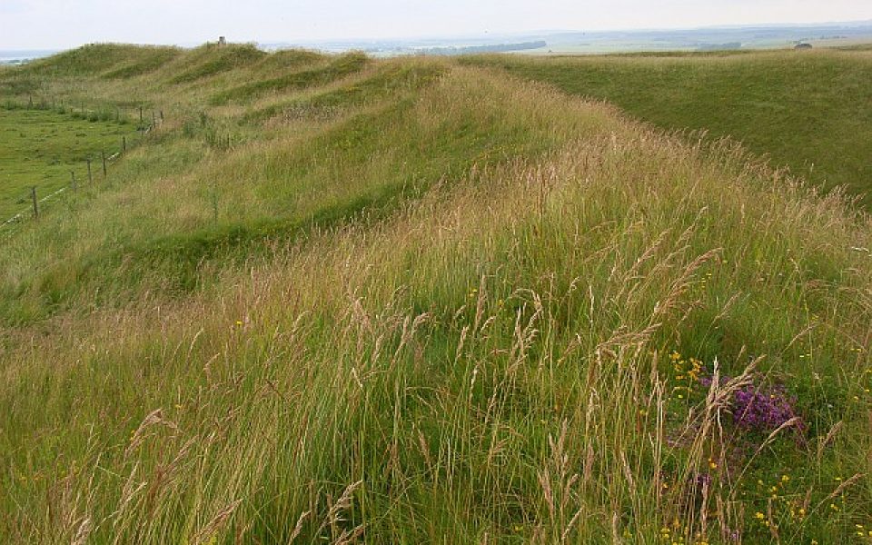 Yarnbury Castle