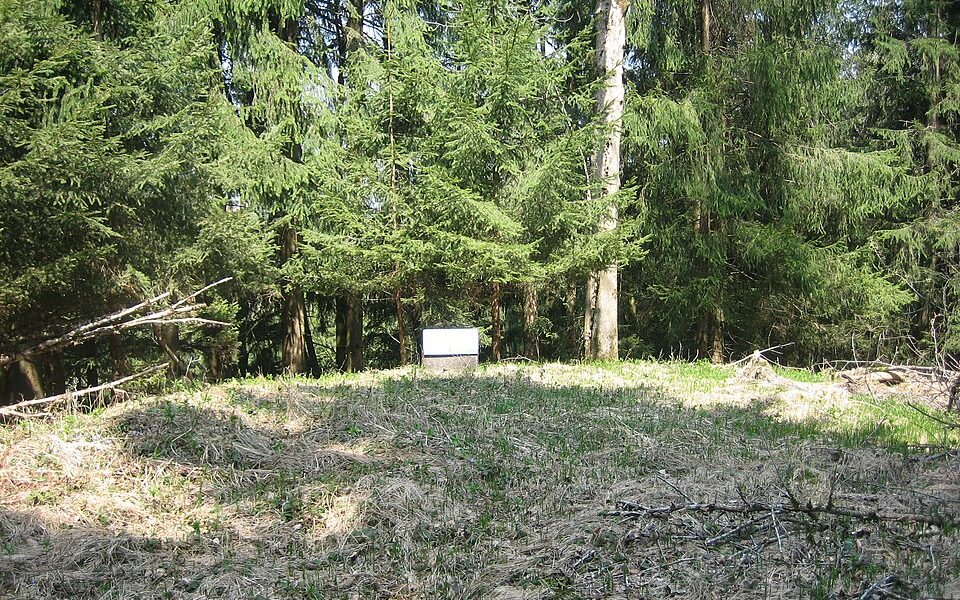 Burgstall Im Buschel